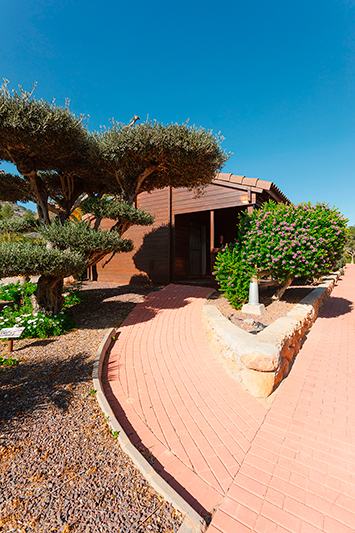 Exterior de bungalow de madera en Camping Ribamar, Alcossebre, Serra d'Irta
