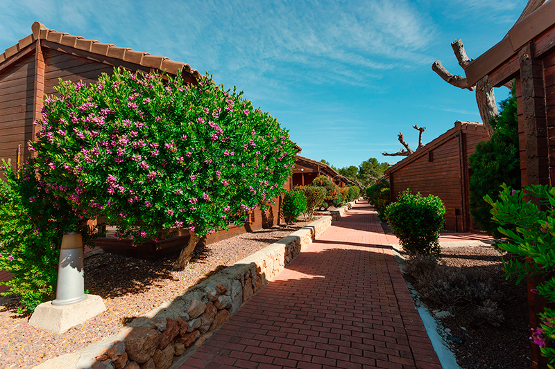 Exterior de bungalow de madera en Camping Ribamar, Alcossebre, Serra d'Irta