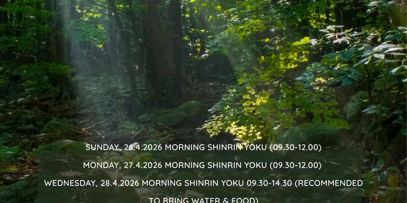 Shinrin Yoku en el Camping Ribamar
