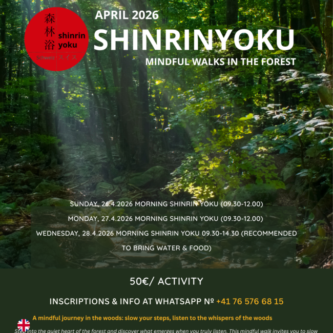 Shinrin Yoku en el Camping Ribamar