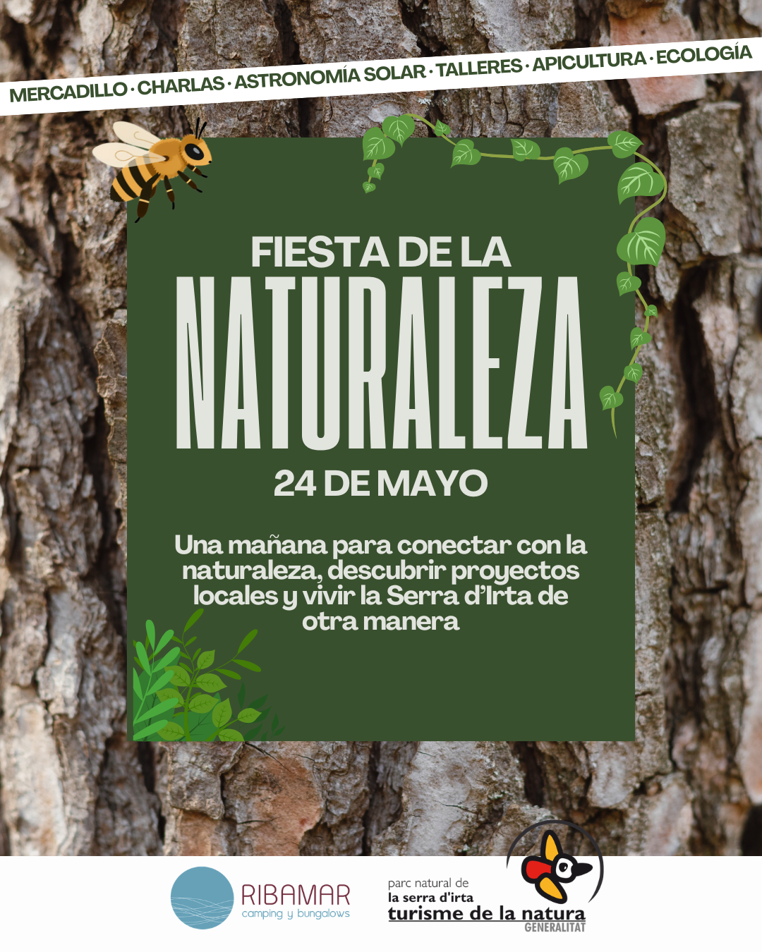 Fiesta de la Naturaleza en el Camping Ribamar: mercadillo ecológico, cicloturismo y talleres en plena Serra d'Irta