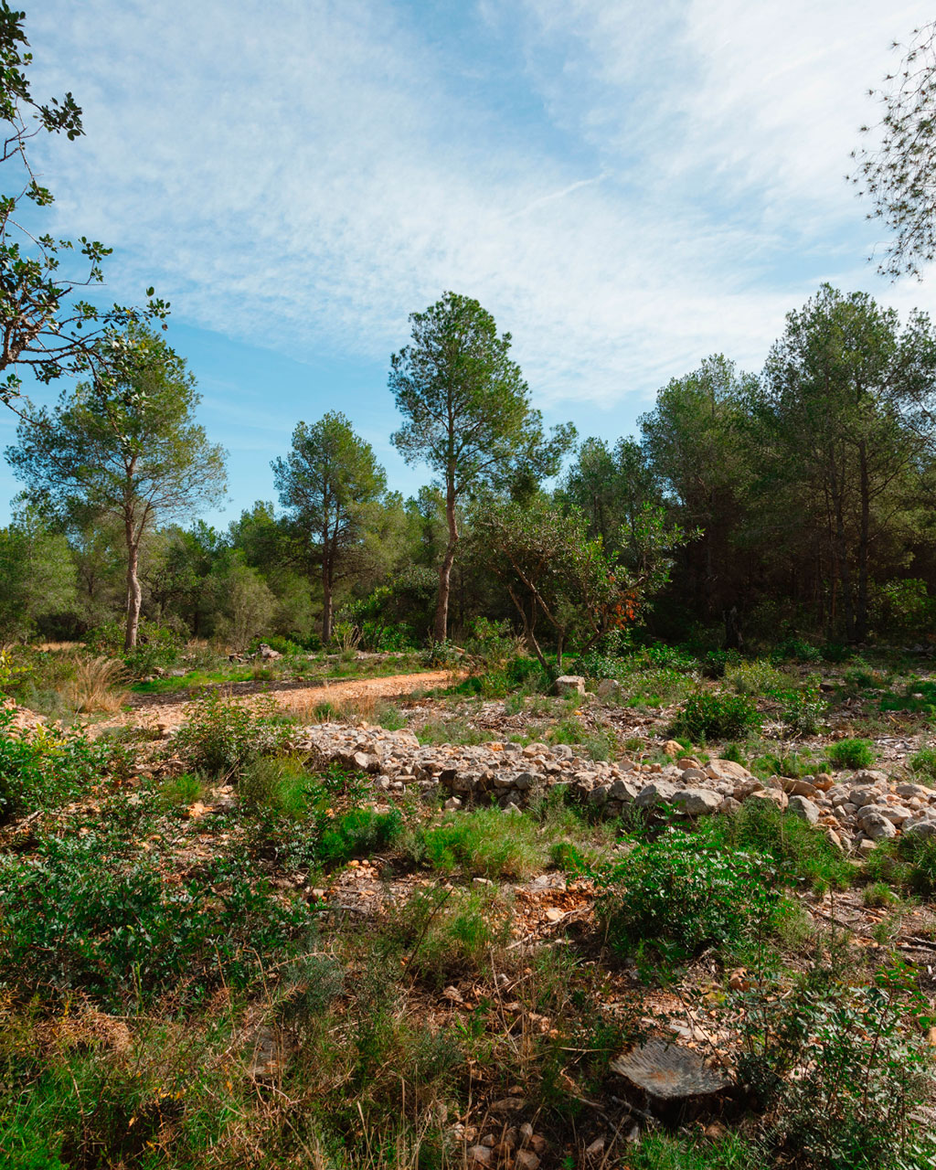 Compromiso con la sostenibilidad y el medio ambiente del Camping Ribamar, Serra d'Irta