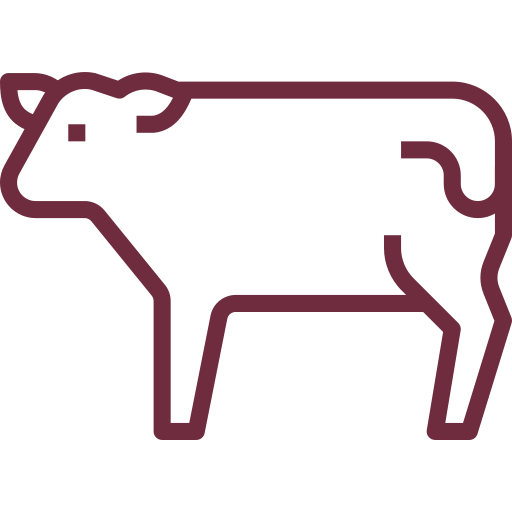 Carnes de producción propia